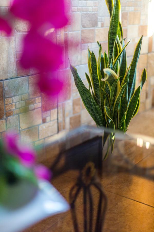 Merida Serviced Apartments 外观 照片